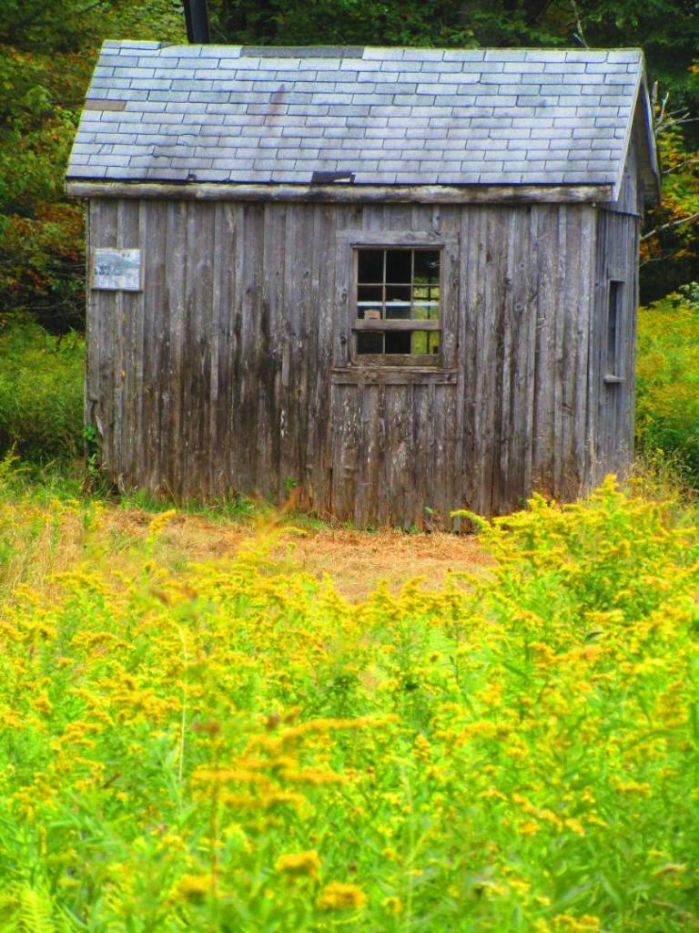 Photo: Shed
