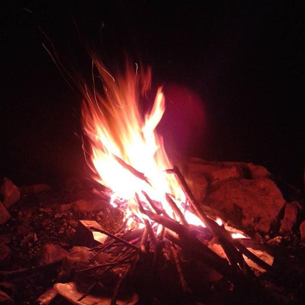 Photo: Last night's fire Photo: Last night's fire