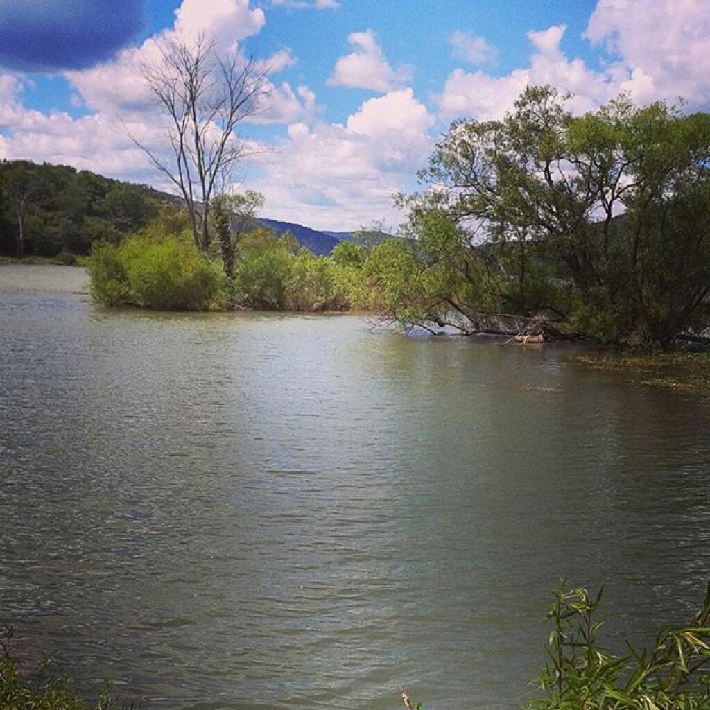 Photo: Water levels were fairly high on the Reservoir