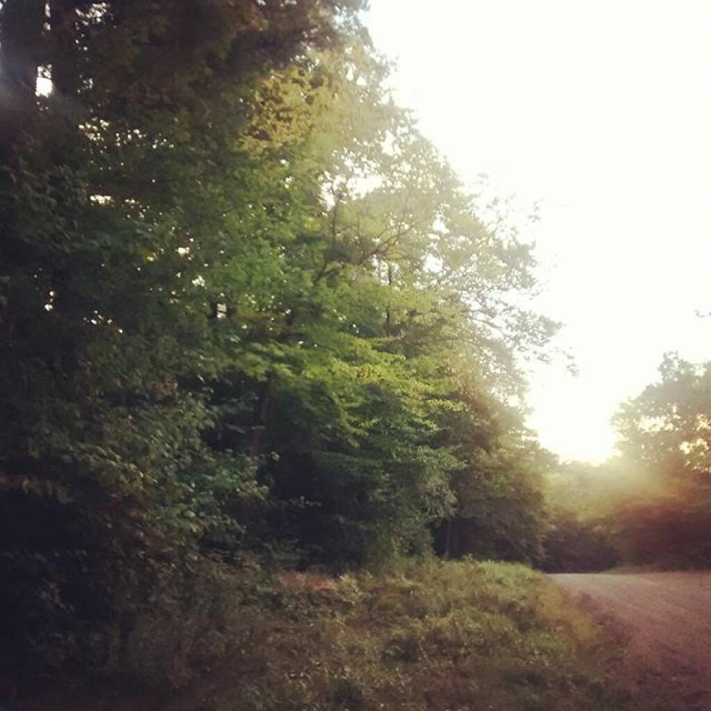 Photo: Good morning! Photo: Good morning!