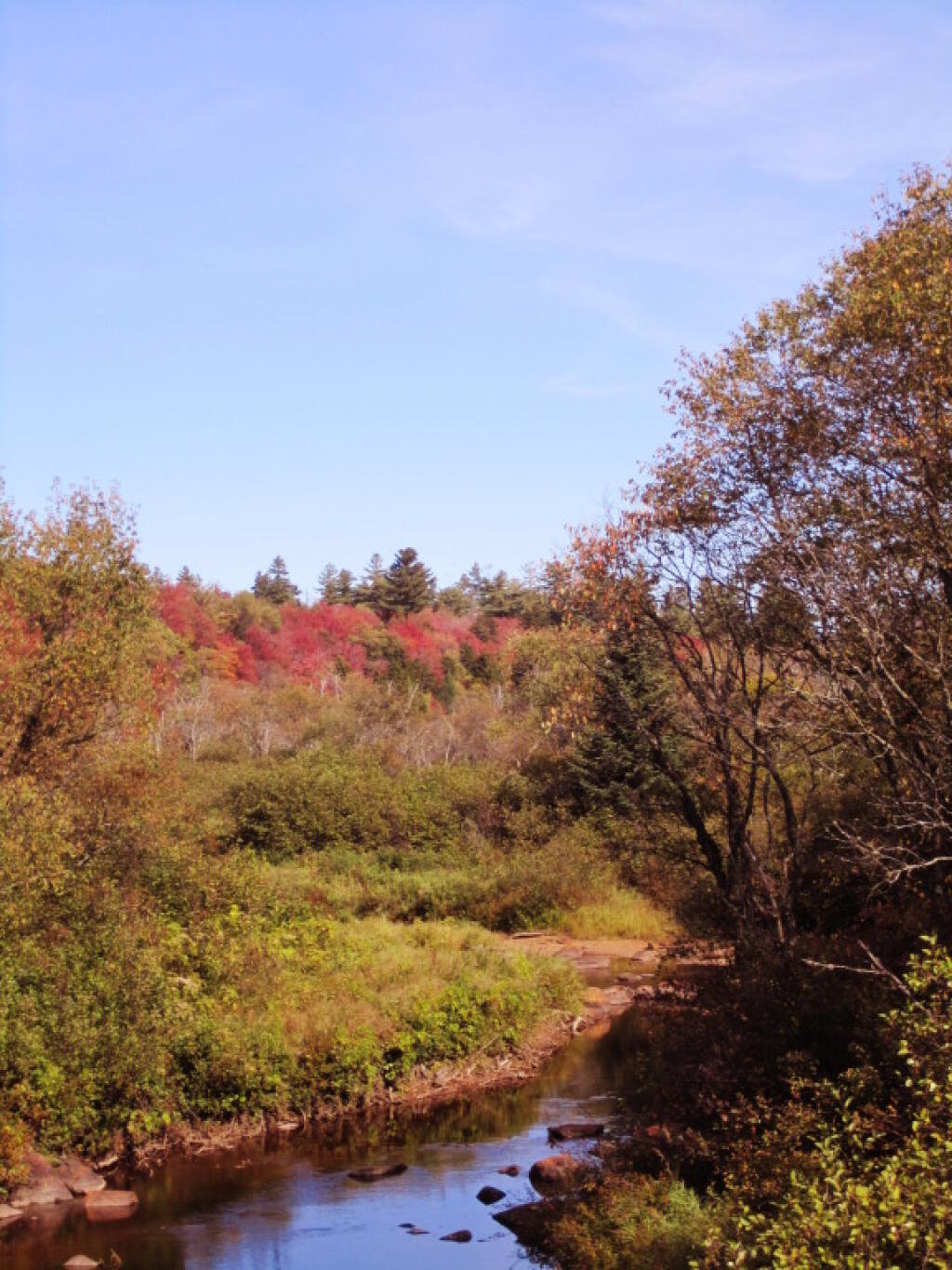 Photo: Moose River Photo: Moose River