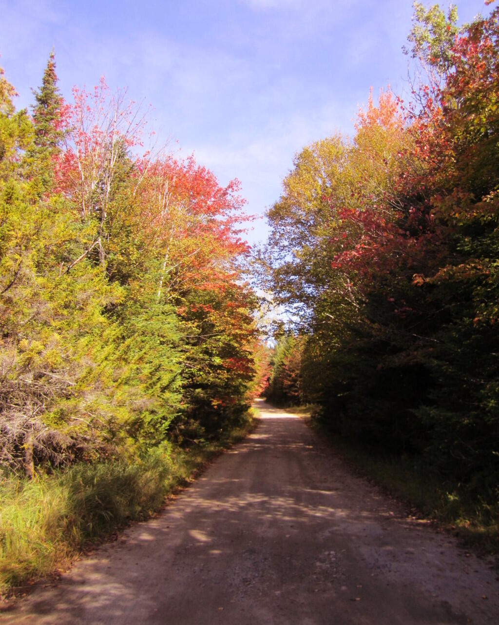 Photo: Near Campsite 25