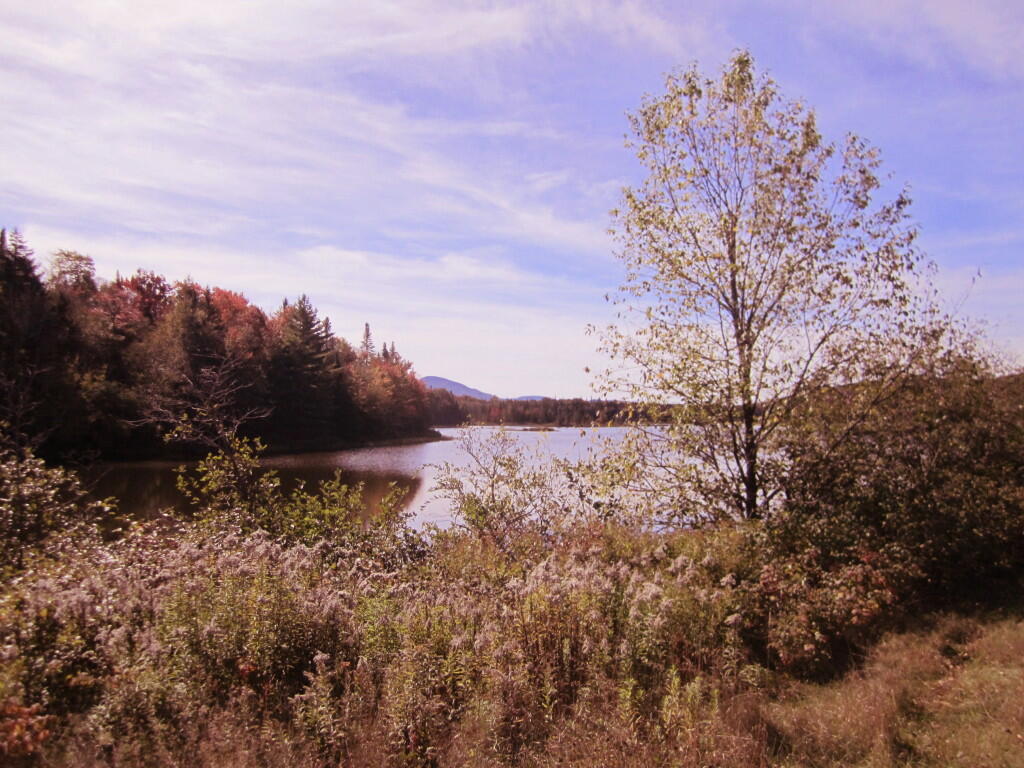 Photo: Near Cedar River Dam
