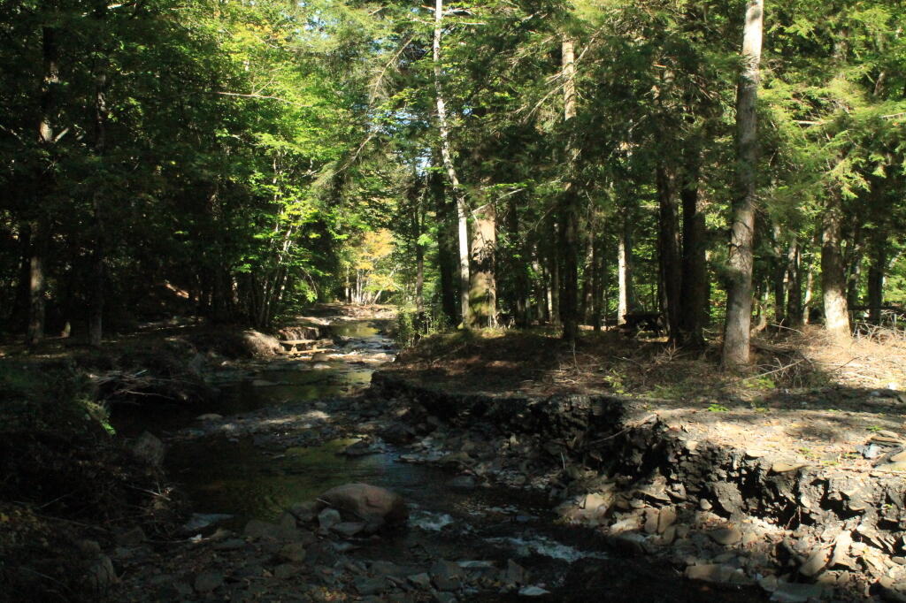 Photo: Newly Routed Whetstone Creek Photo: Newly Routed Whetstone Creek