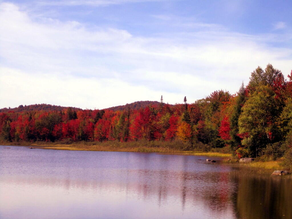 Photo: Nice Color On The Shoreline Of Cedar River Flow