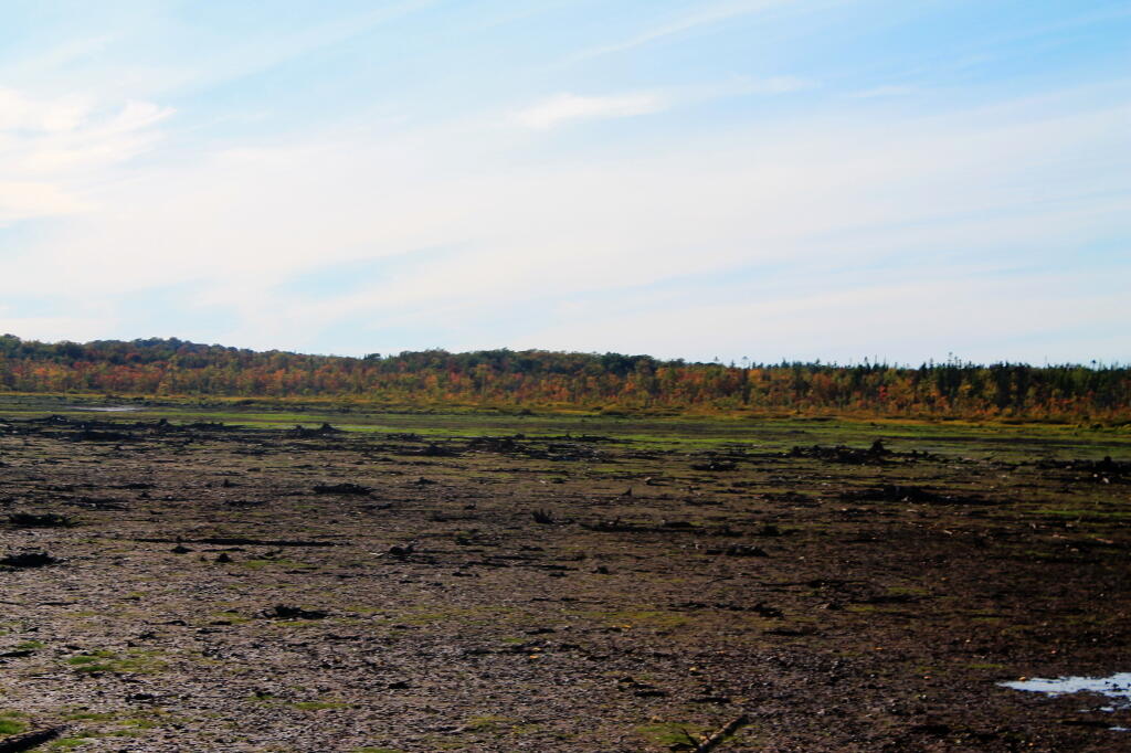 Photo: Normally Beautiful Whetstone Reservior Is Just Mud Flats Photo: Normally Beautiful Whetstone Reservior Is Just Mud Flats