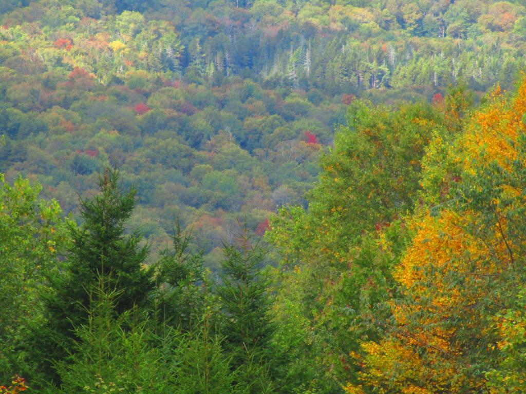 Photo: North from the Slopes