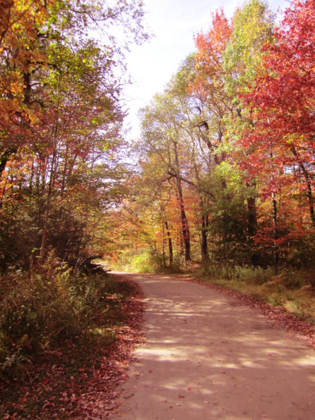 Photo: Scenic Otter Creek Road