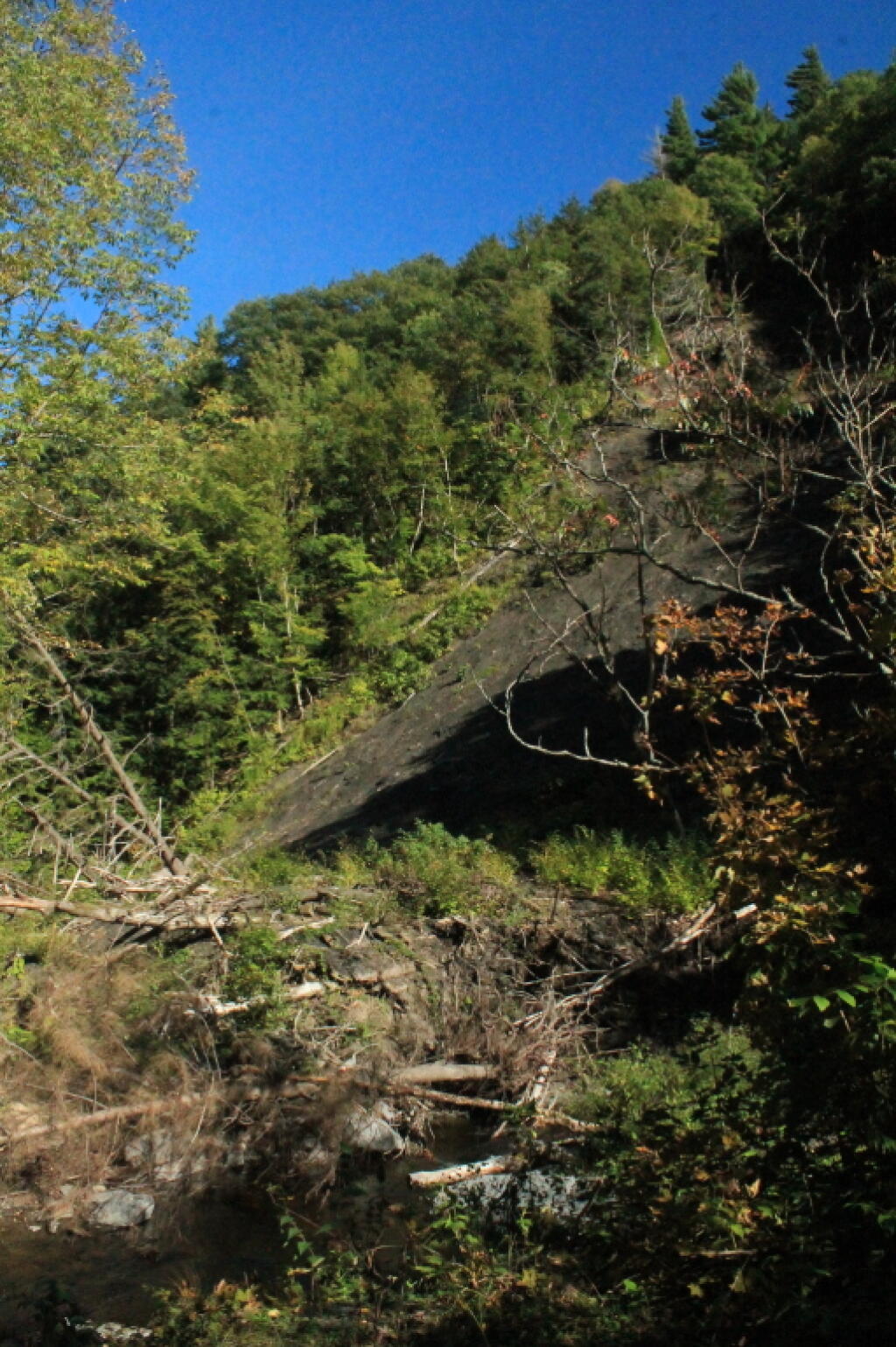 Photo: Slide That Rerouted Whetstone Creek