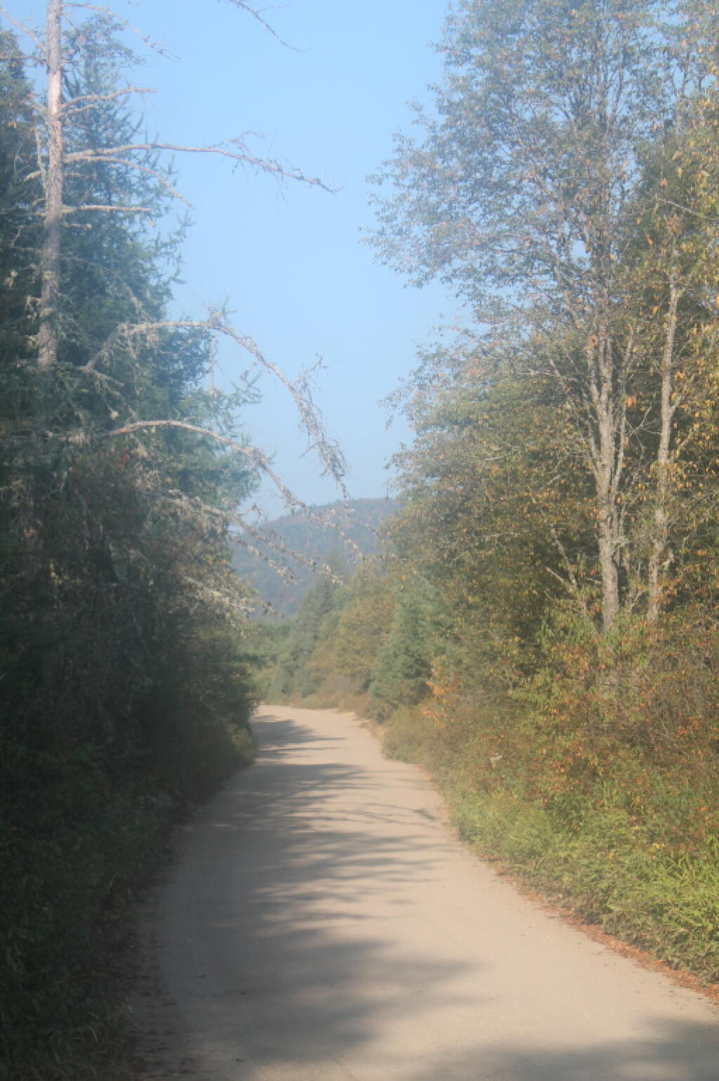 Photo: Cedar River - Limeklin Lake Road on Labor Day