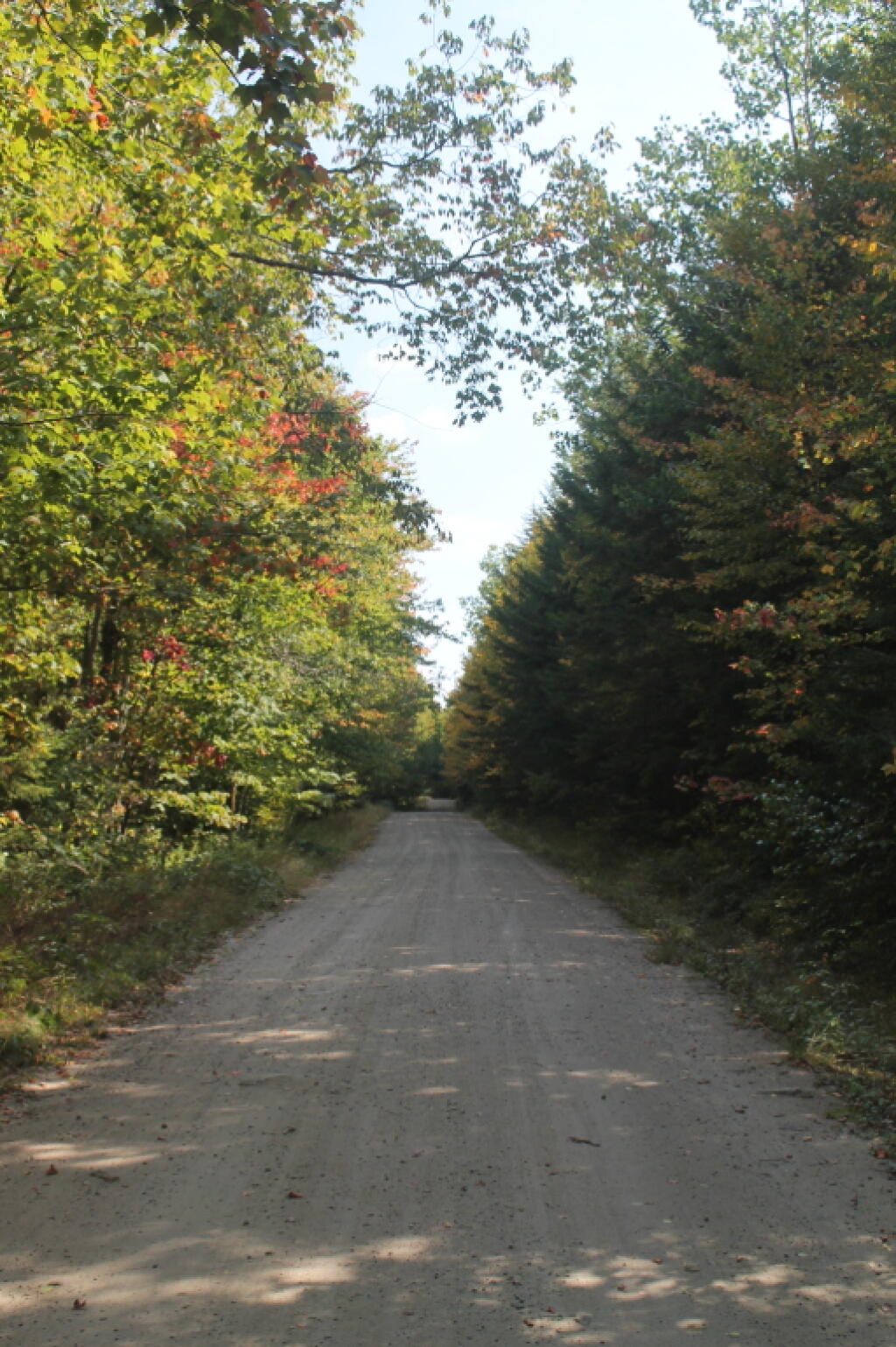 Photo: Colors Starting to Turn