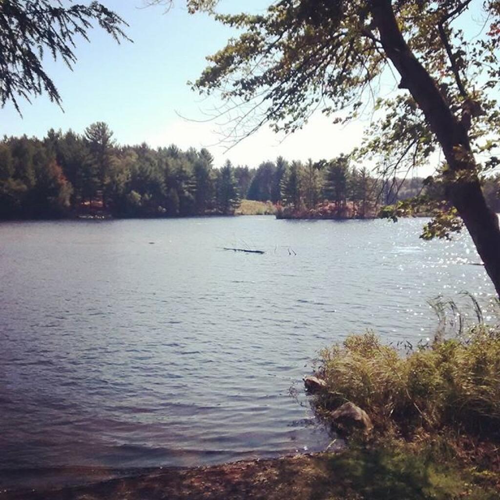 Photo: High Falls Reservoir Photo: High Falls Reservoir