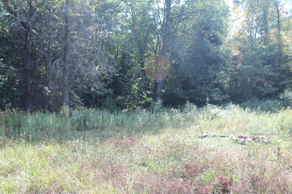Photo: Another Campsite Along Old Route 8 Photo: Another Campsite Along Old Route 8