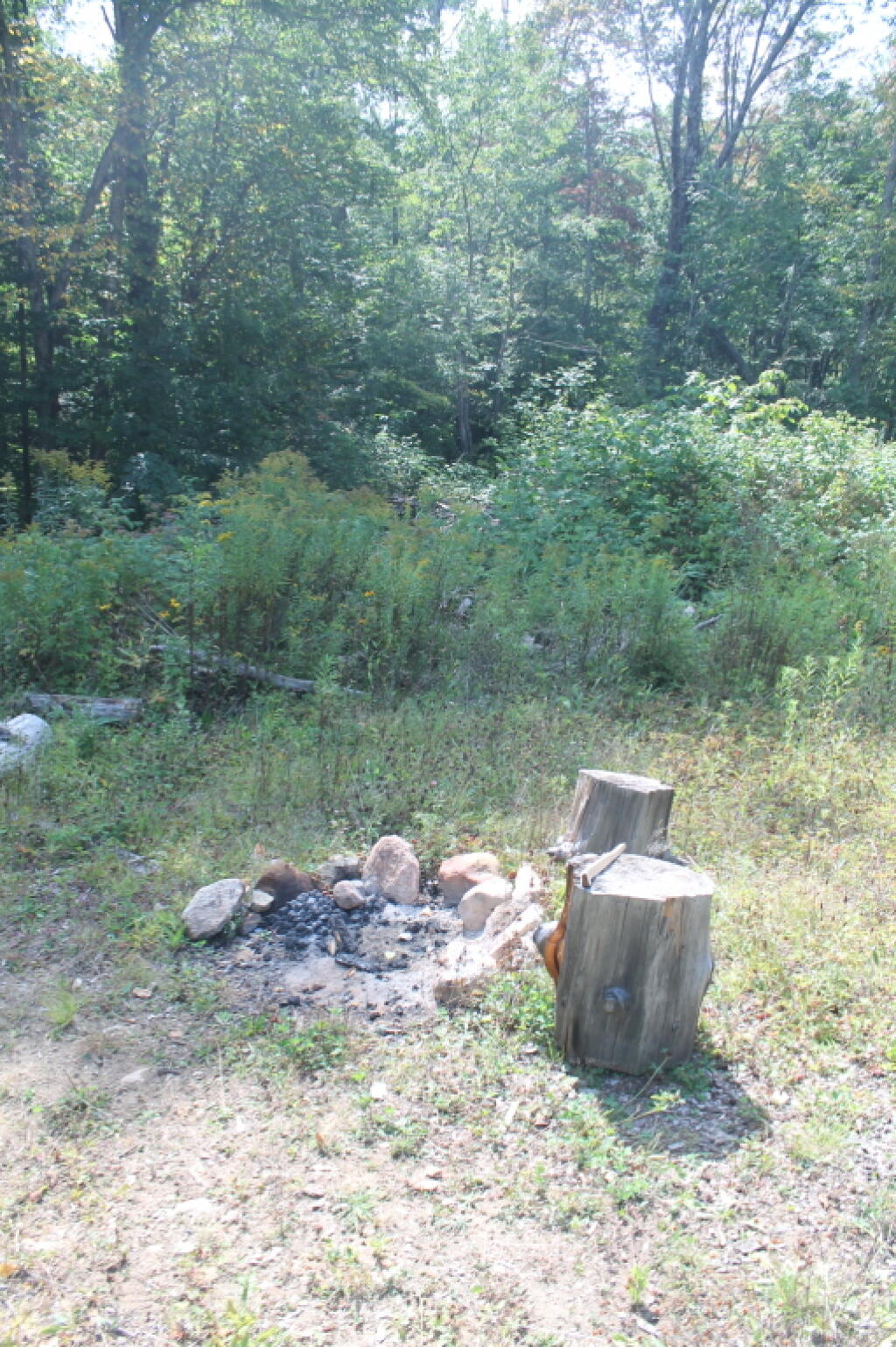 Photo: Campsite 2
