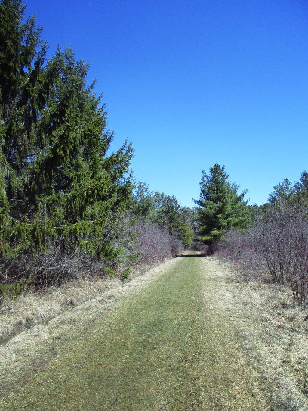 Photo: Blue Skies