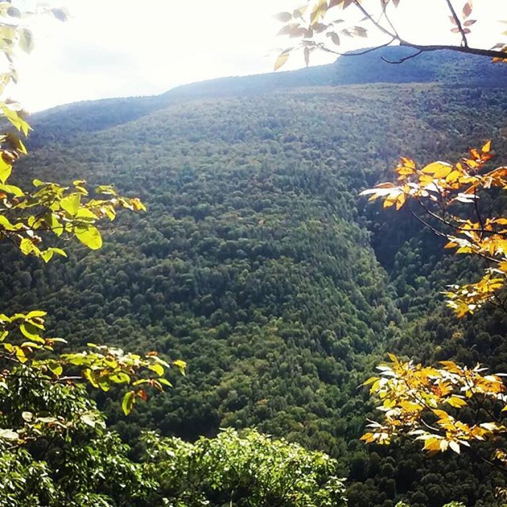 Photo: Wild Cat Ravine