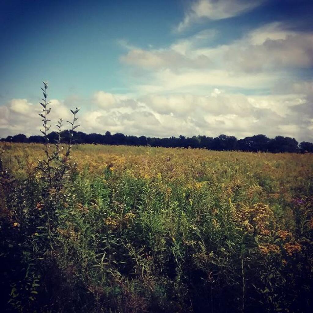Photo: Field Photo: Field