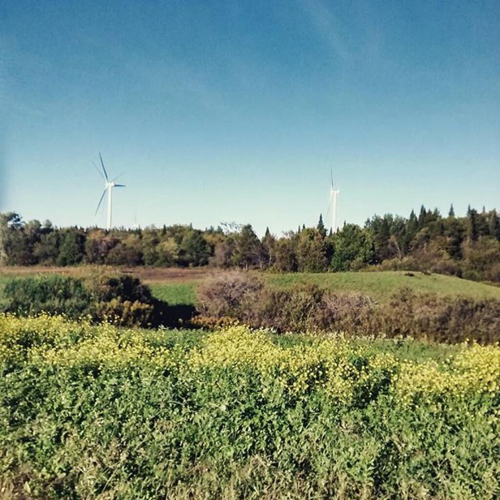 Photo: Turbines