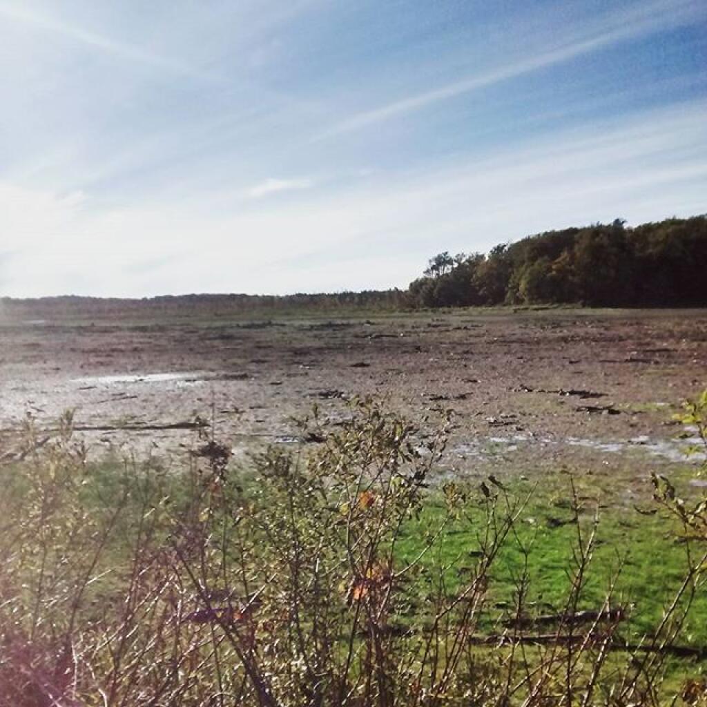 Photo: I wanted to fish and paddle the Whetstone Reservoir. Not today. Photo: I wanted to fish and paddle the Whetstone Reservoir. Not today.