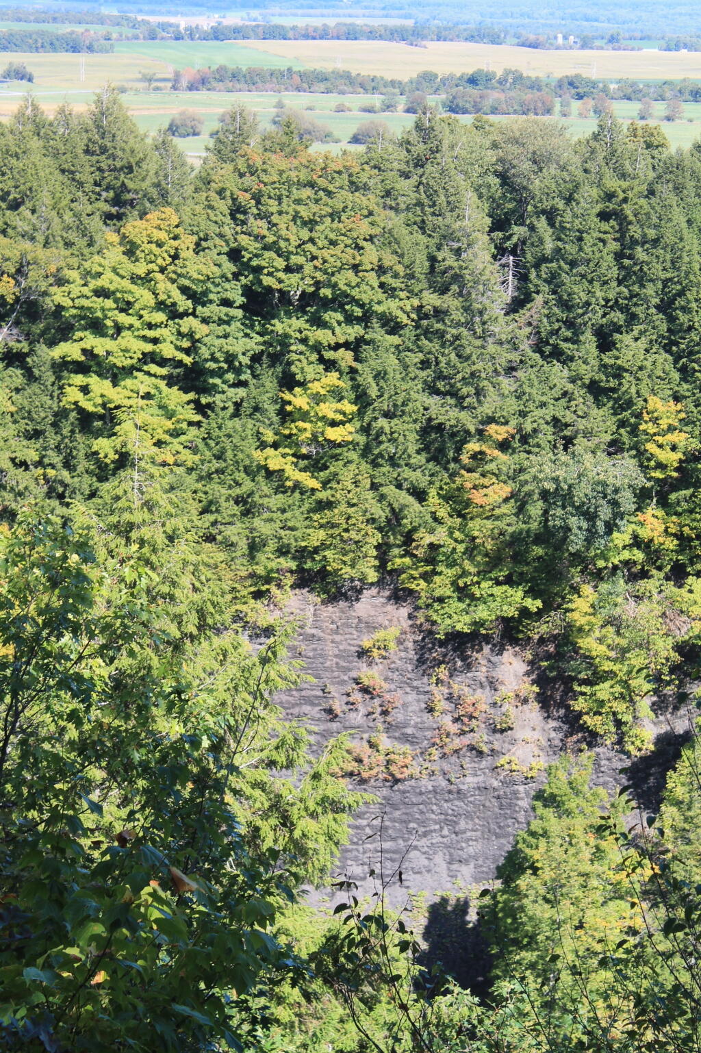 Photo: Whetstone Gulf And Beyond