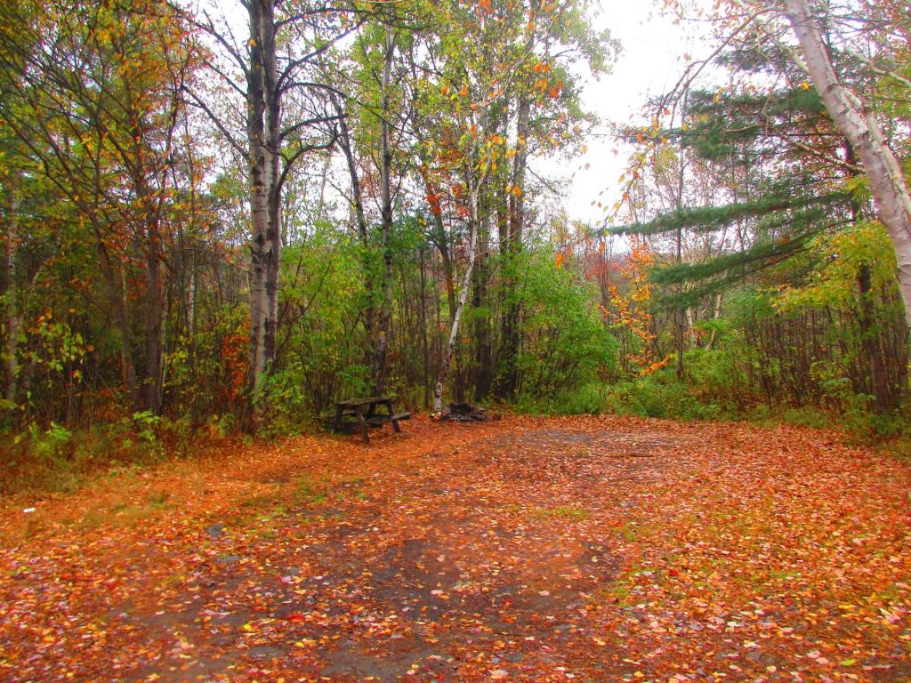 Photo: Free Primative Campsite Photo: Free Primative Campsite