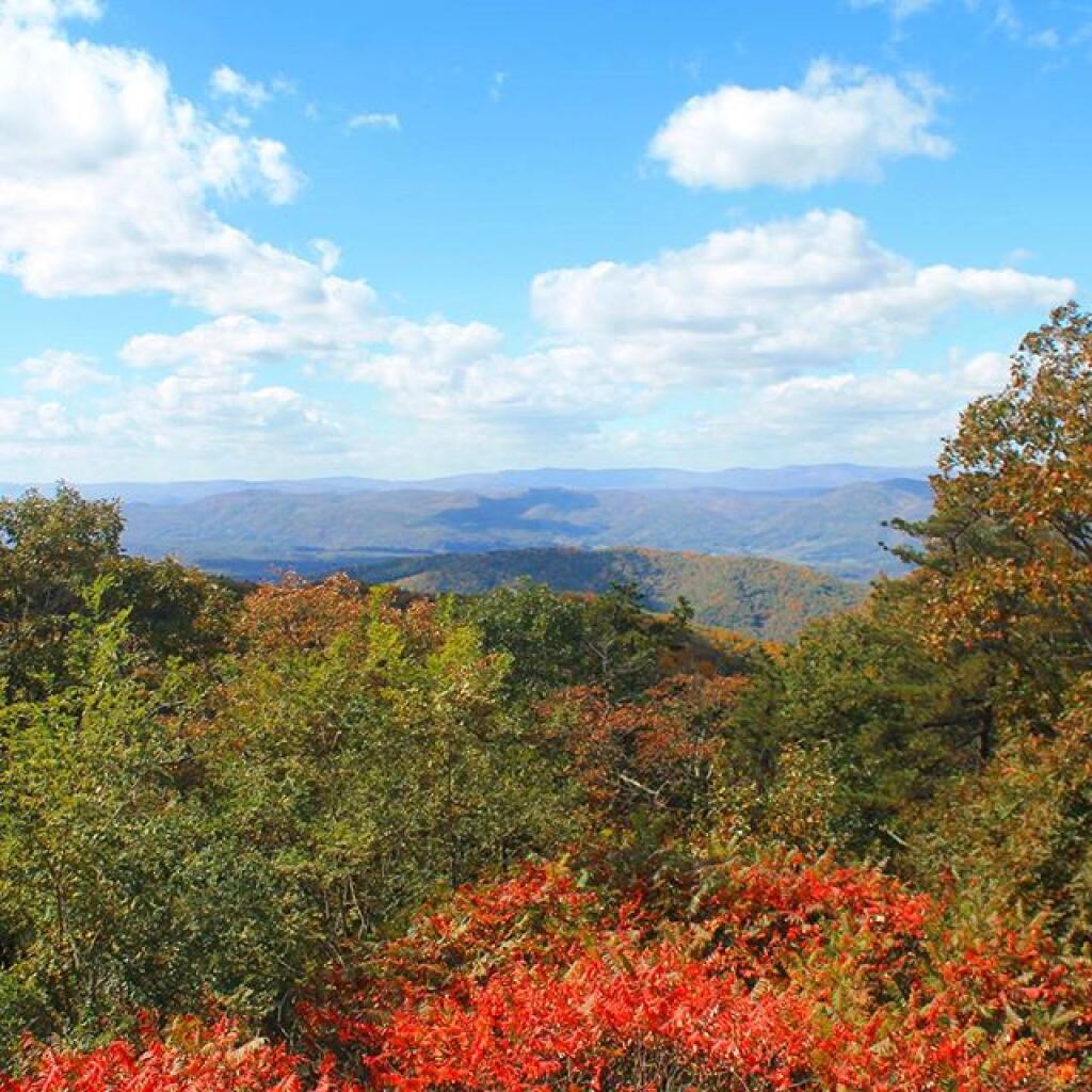 Photo: View from Shenandoah Mountain Overlook on US 33 at WV / VA border