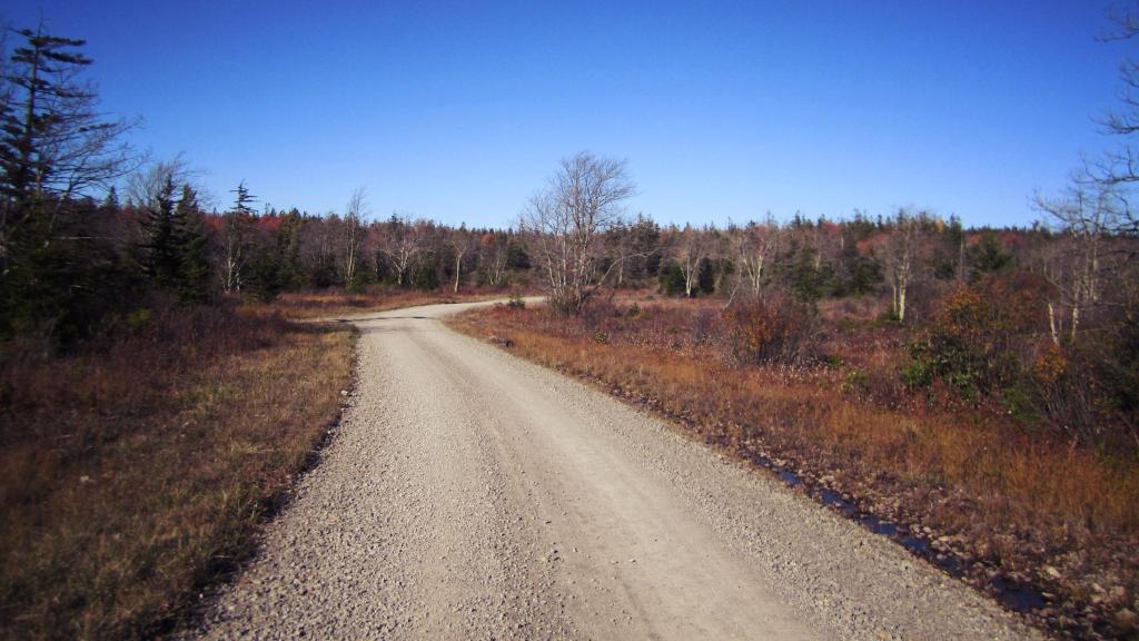 Photo: Forest Route 13 Photo: Forest Route 13