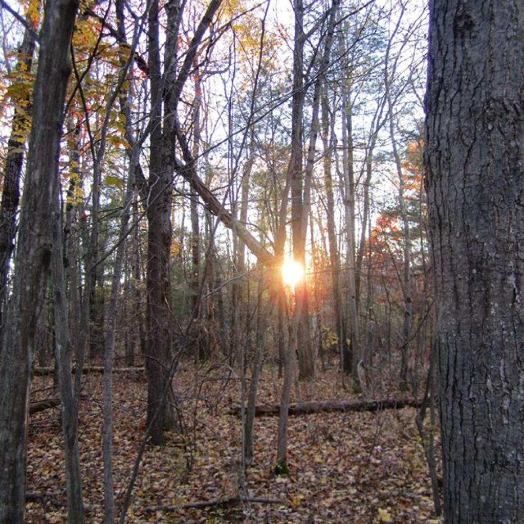 Photo: Late afternoon Photo: Late afternoon