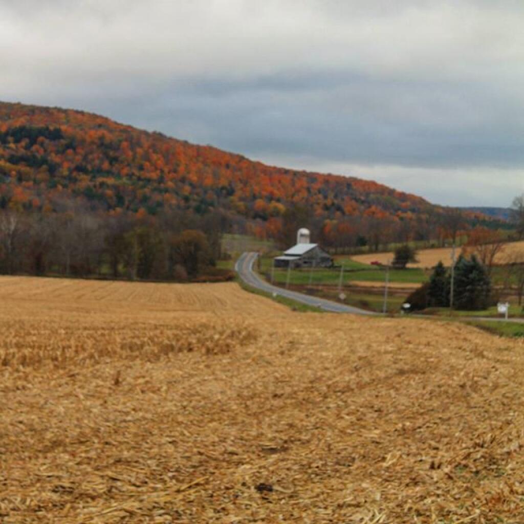 Photo: Switz Kill Valley