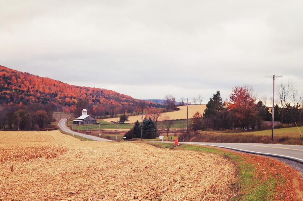 Photo: County Route 1