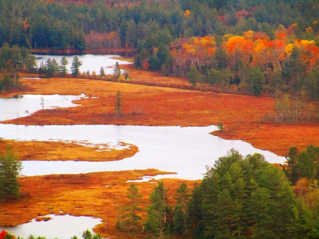 Photo: Hitchens Pond from Lows Ledge