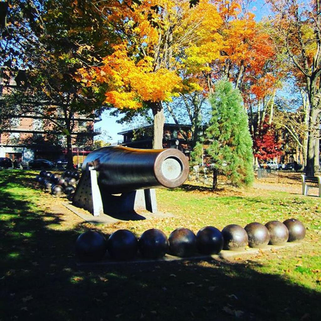 Photo: Cannon