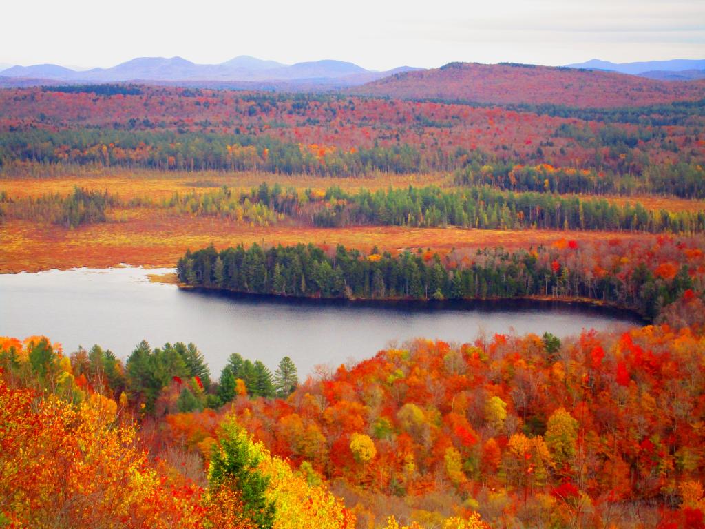 Photo: Bog River Flow from Lows Ledge
