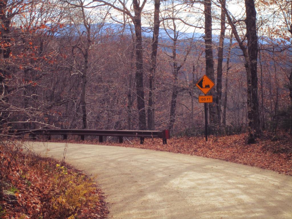Photo: Forest Road 10 Photo: Forest Road 10