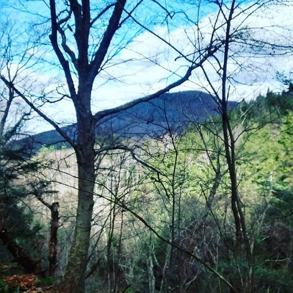 Photo: Bear Mountain Photo: Bear Mountain