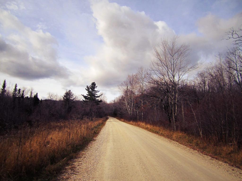 Photo: November
