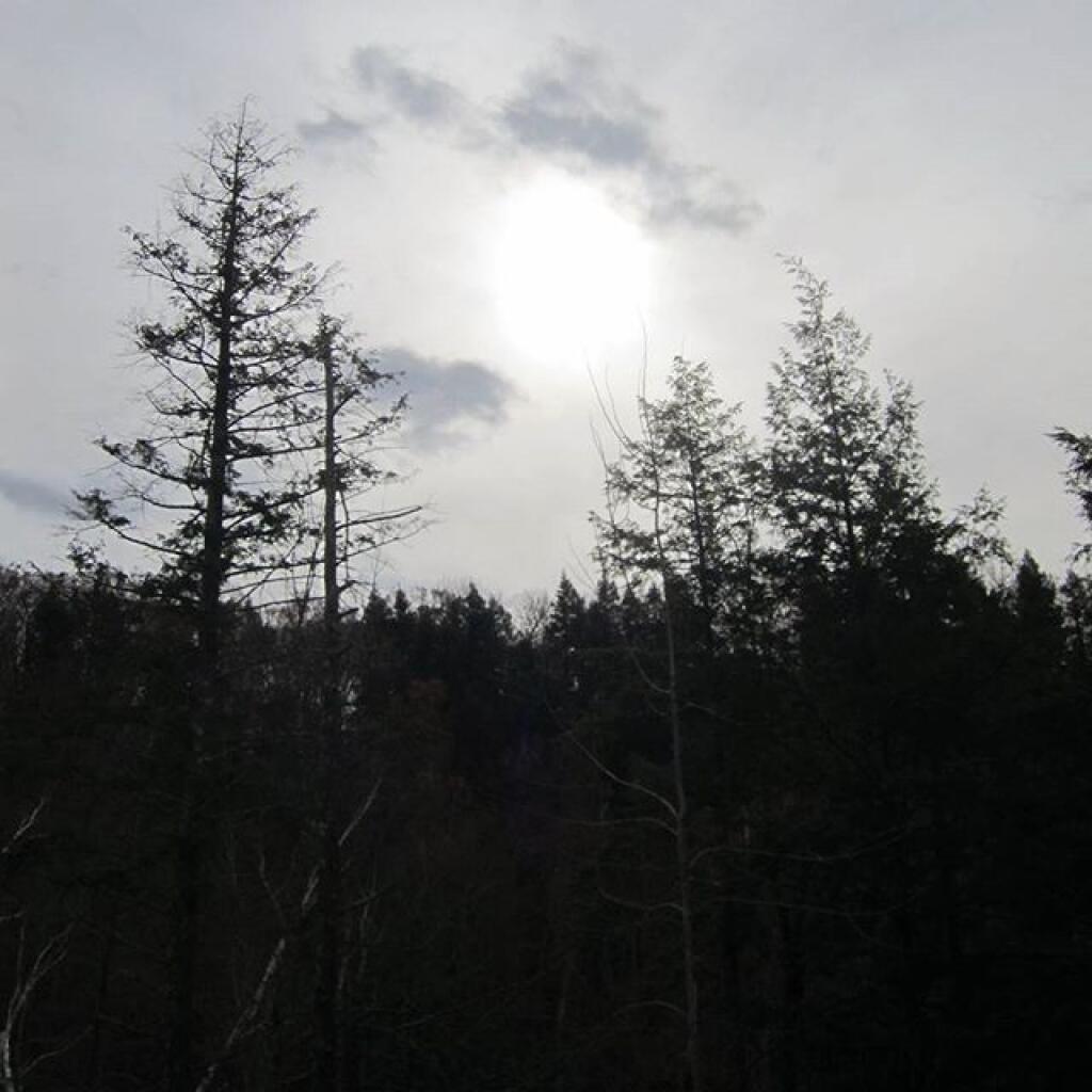 Photo: Winter is coming Photo: Winter is coming