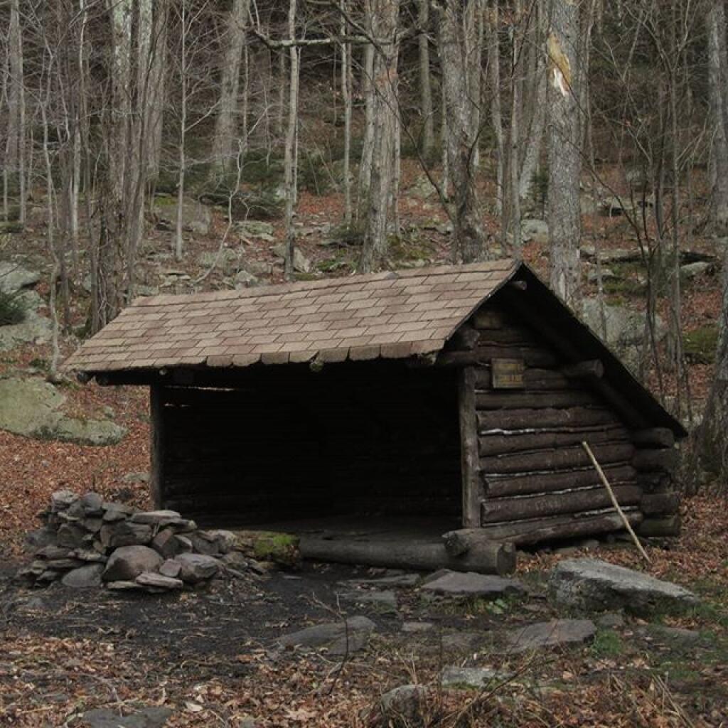 Photo: Big Hollow Lean-to