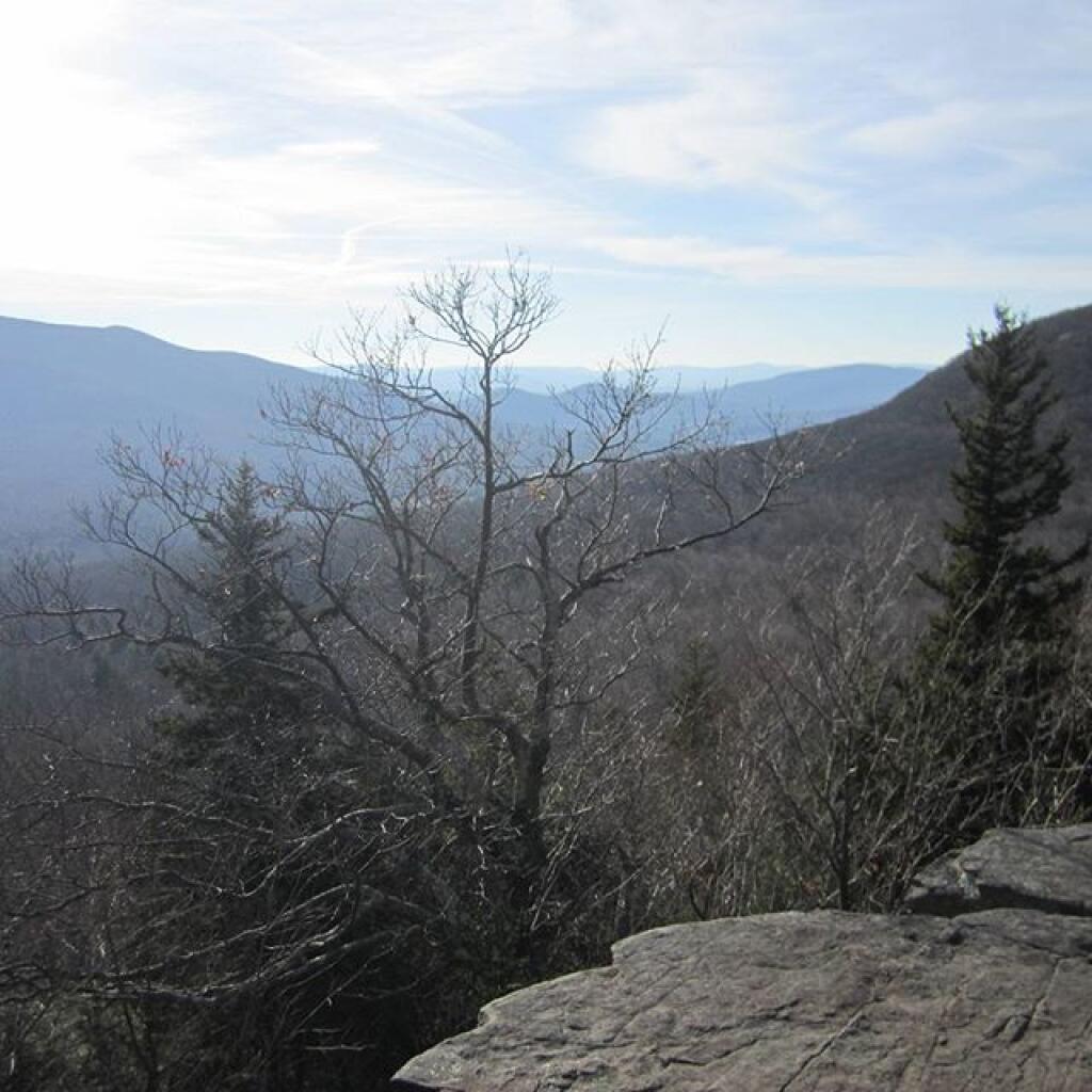 Photo: Looking West Photo: Looking West