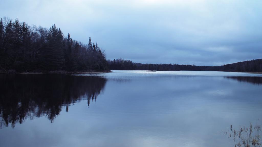 Photo: Cedar River Flow