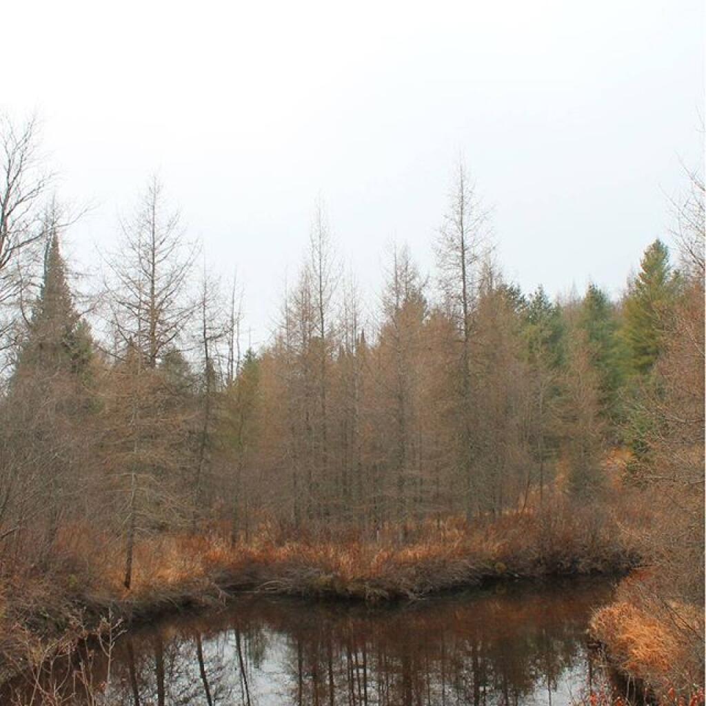 Photo: Red River