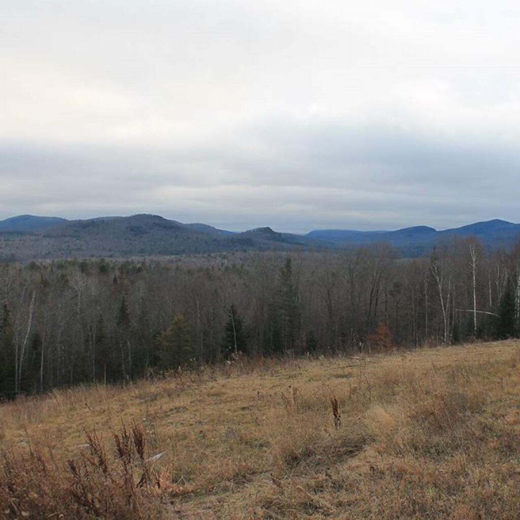 Photo: Overlook Photo: Overlook