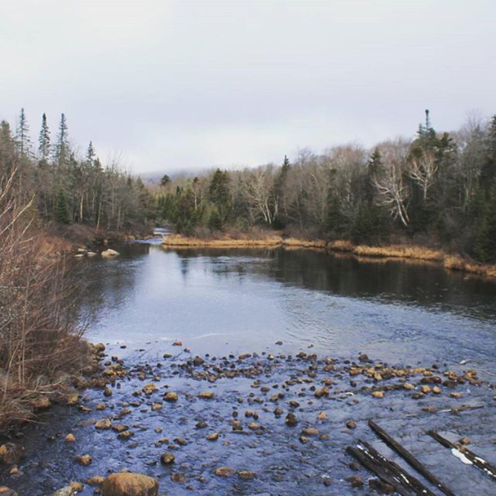 Photo: Cedar River Off Wakely Dam
