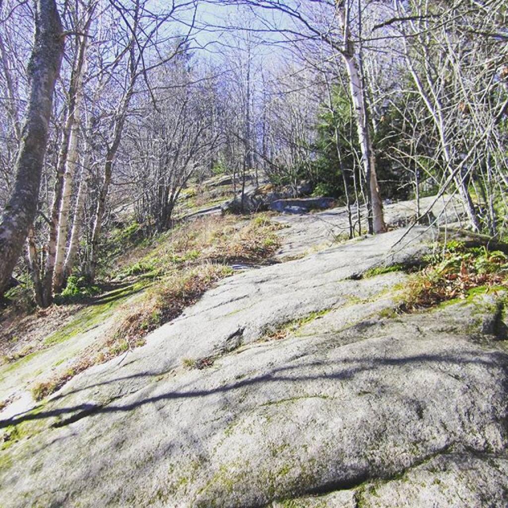 Photo: Near the Summit Photo: Near the Summit