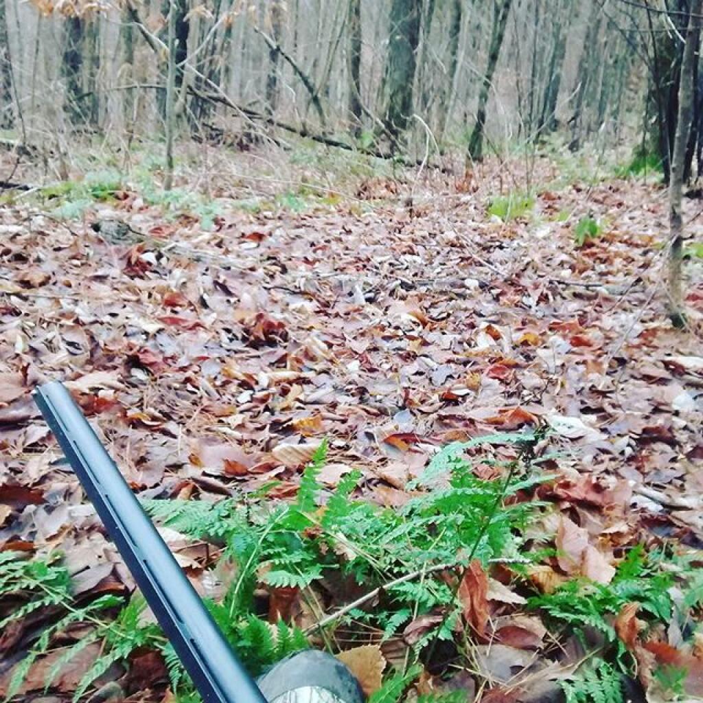 Photo: Typical Fall Saturday in Madison County