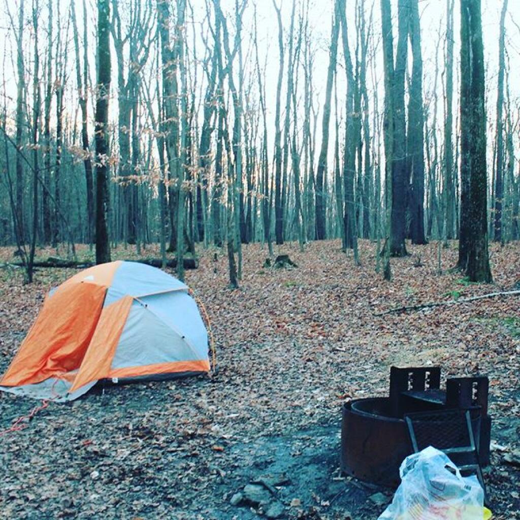 Photo: Morning at Camp