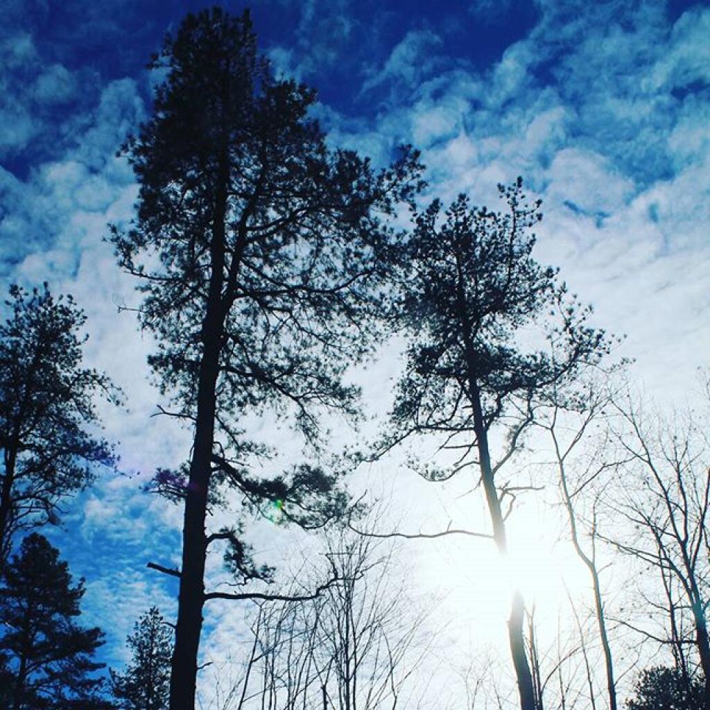 Photo: Winter afternoon