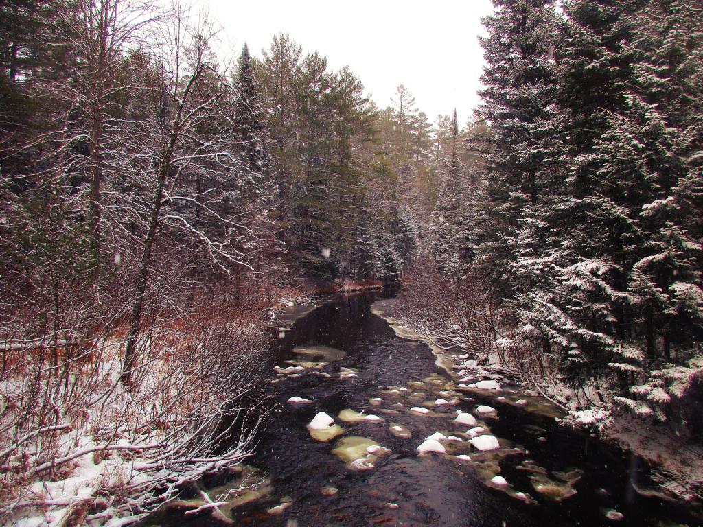 Photo: Vanderwhacker Brook