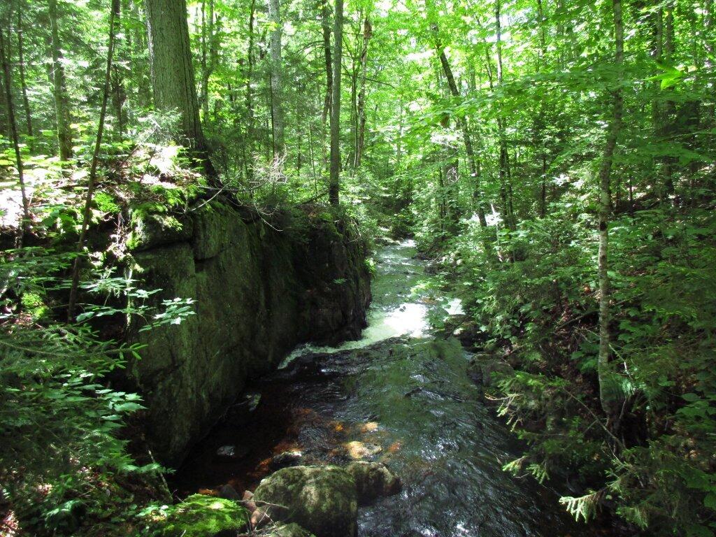 Photo: Outflow To Windfall Pond