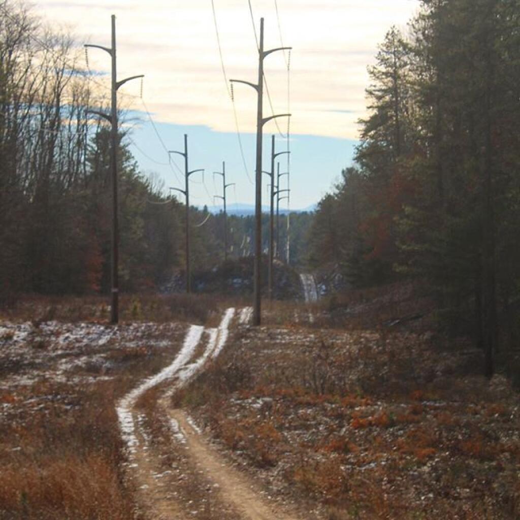Photo: Power Lines